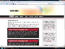 NetVoize